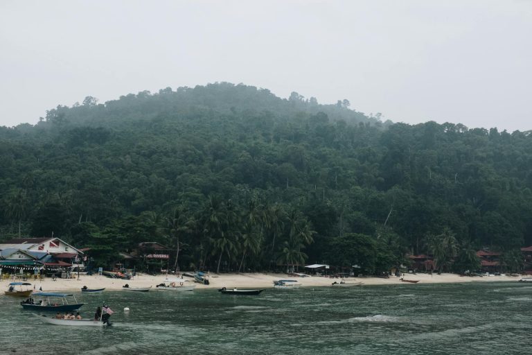 Explore the tropical shoreline with boats and lush greenery in Terengganu, Malaysia.