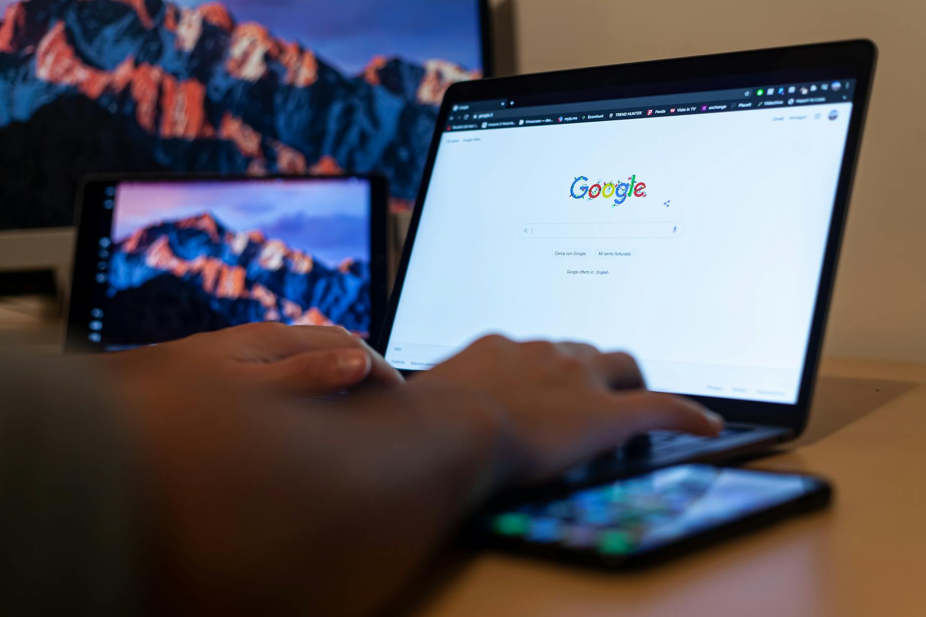 Jasa seo ecommerce membuka peluang bisnis online
