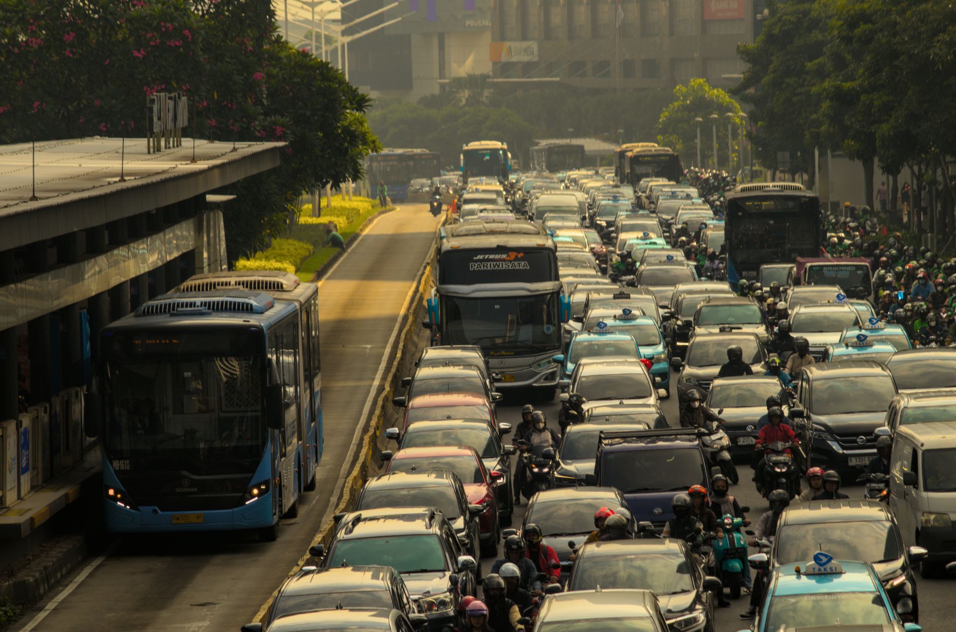 Seo jasa profesional indonesia untuk meningkatkan trafik